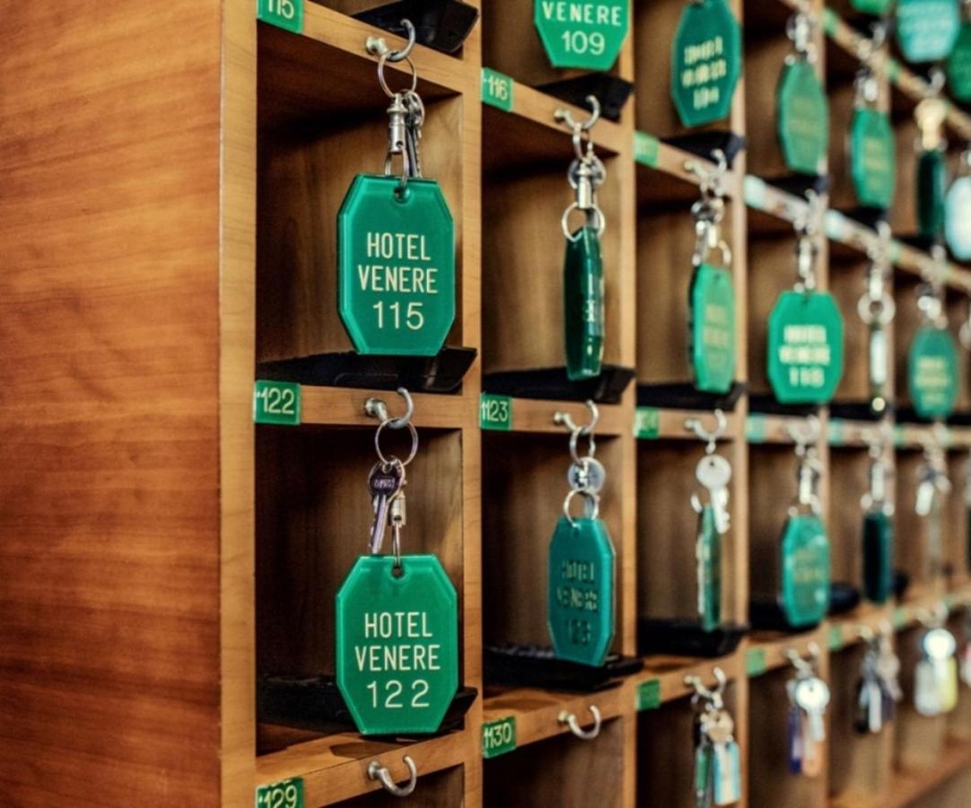 Hotel Venere photo