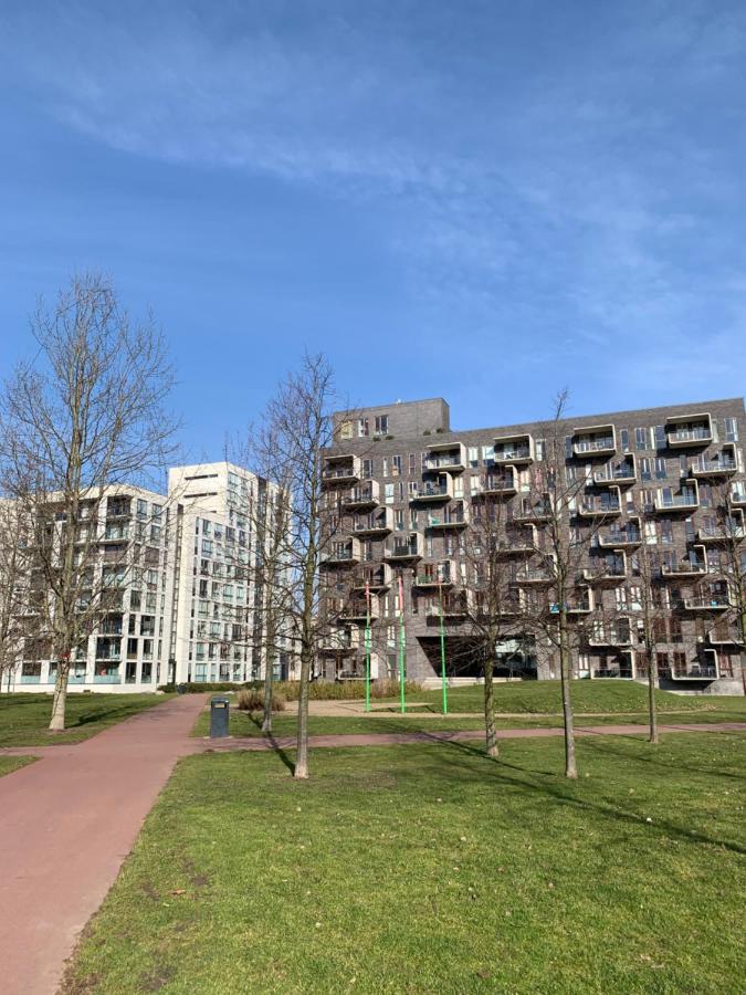 Cute Pug Guest Room - 4
