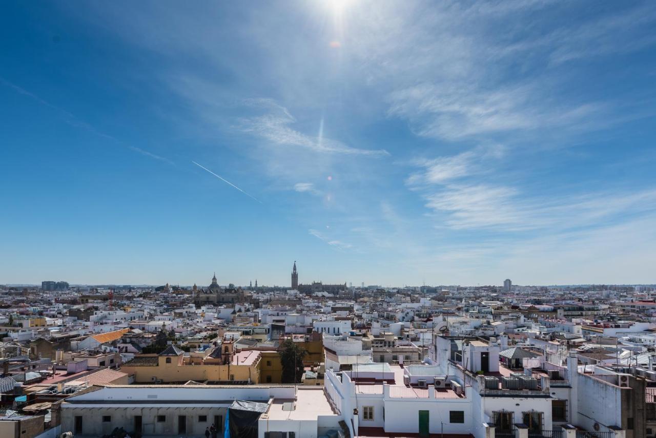 Loft Campana II Donkey, Seville – Updated 2022 Prices