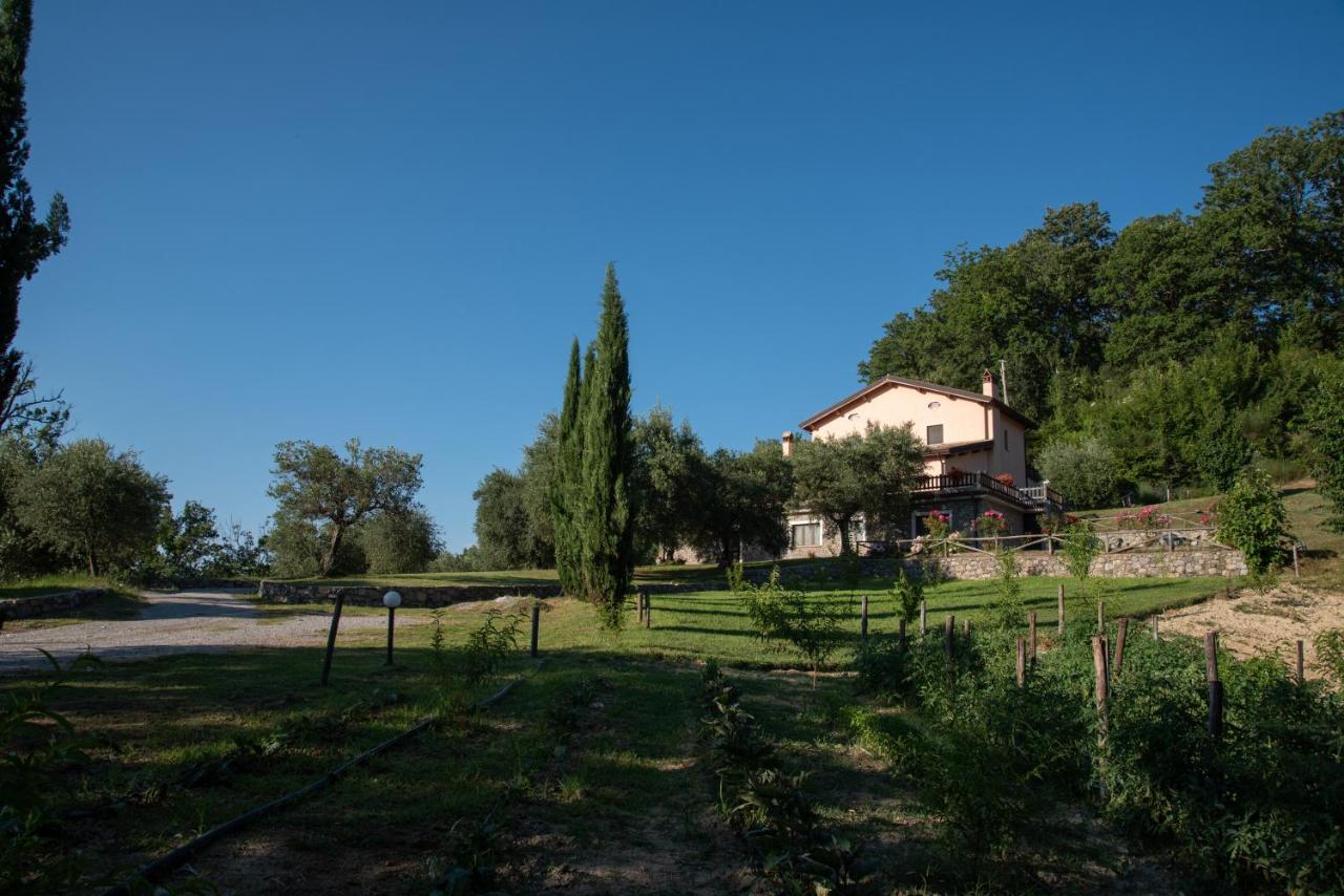 Agriturismo Fiore photo