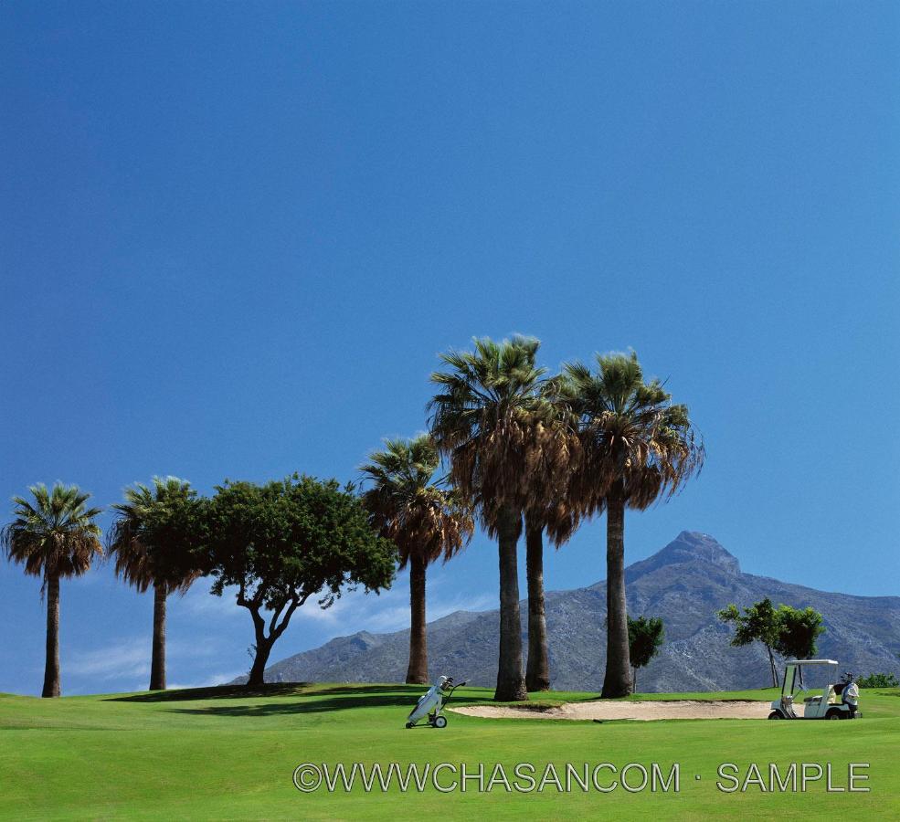 Fantastic Apartment Next To Guadalmina Golf Course In ...