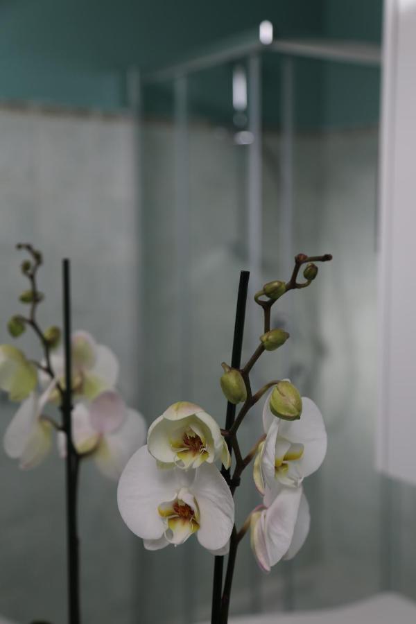 Casa Ercoli BOITO - 3