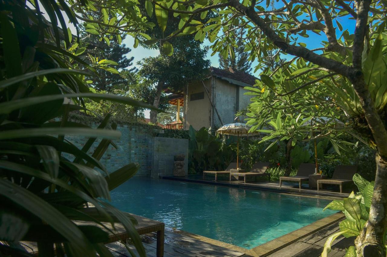 Bumi Muwa Ubud at Monkey Forest - 4