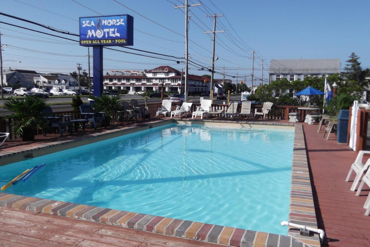 Sea Horse Motel — photo 6