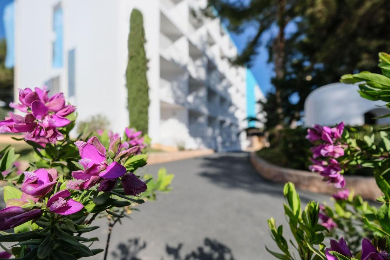 azuLine Hoteles Mar Amantis & II, Bahia de Sant Antoni ...