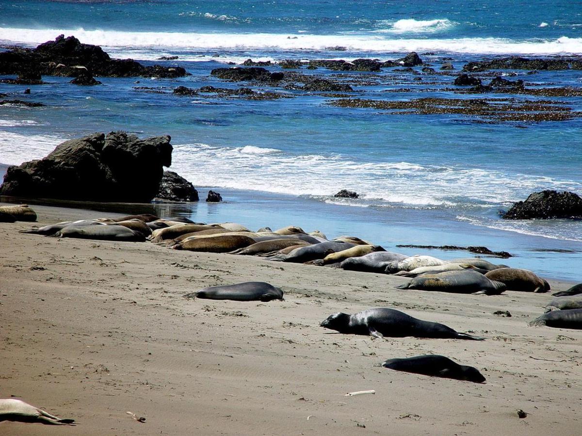 Rockview Inn and Suites - Morro Bay CA — photo 13