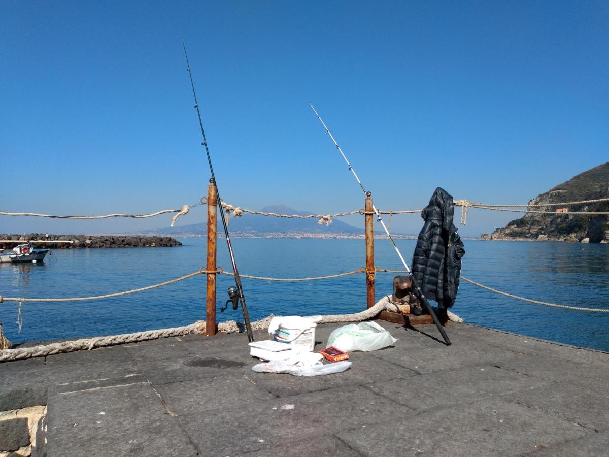 Confort By The Sea photo