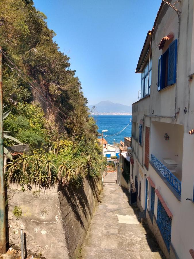 Confort By The Sea photo