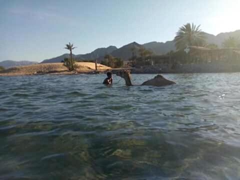 Image: Sebaii Camp السباعى كامب شاطئ الترابين بجوار ويت بالس