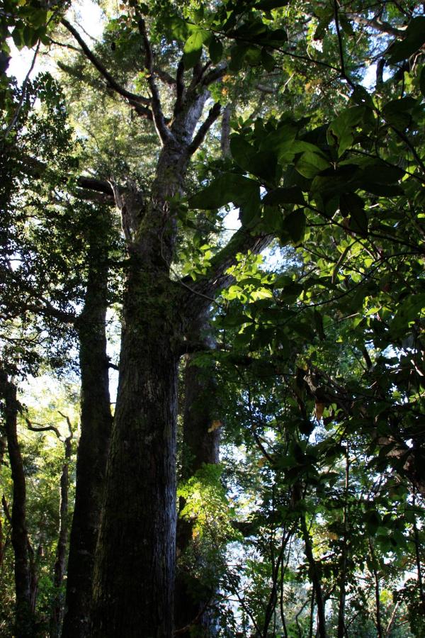 Complejo Kari Mapu Park photo