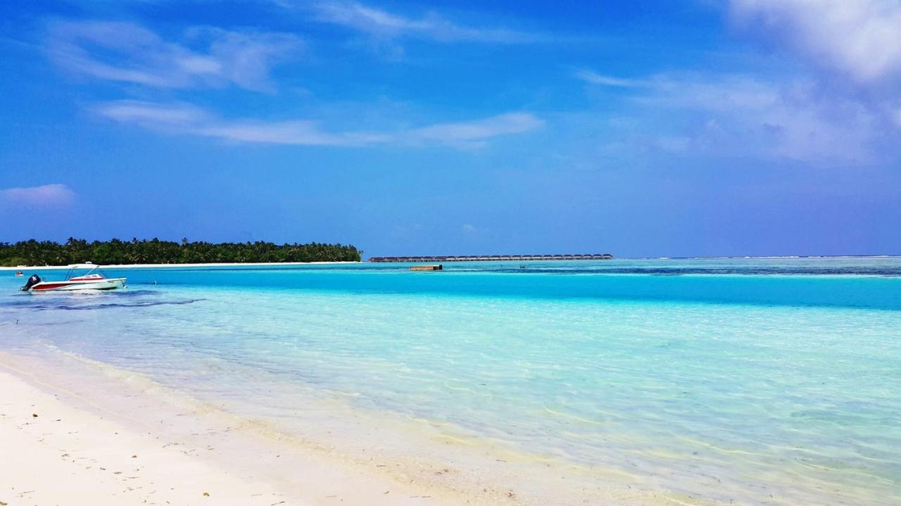 Beach: Portia Hotel & Spa