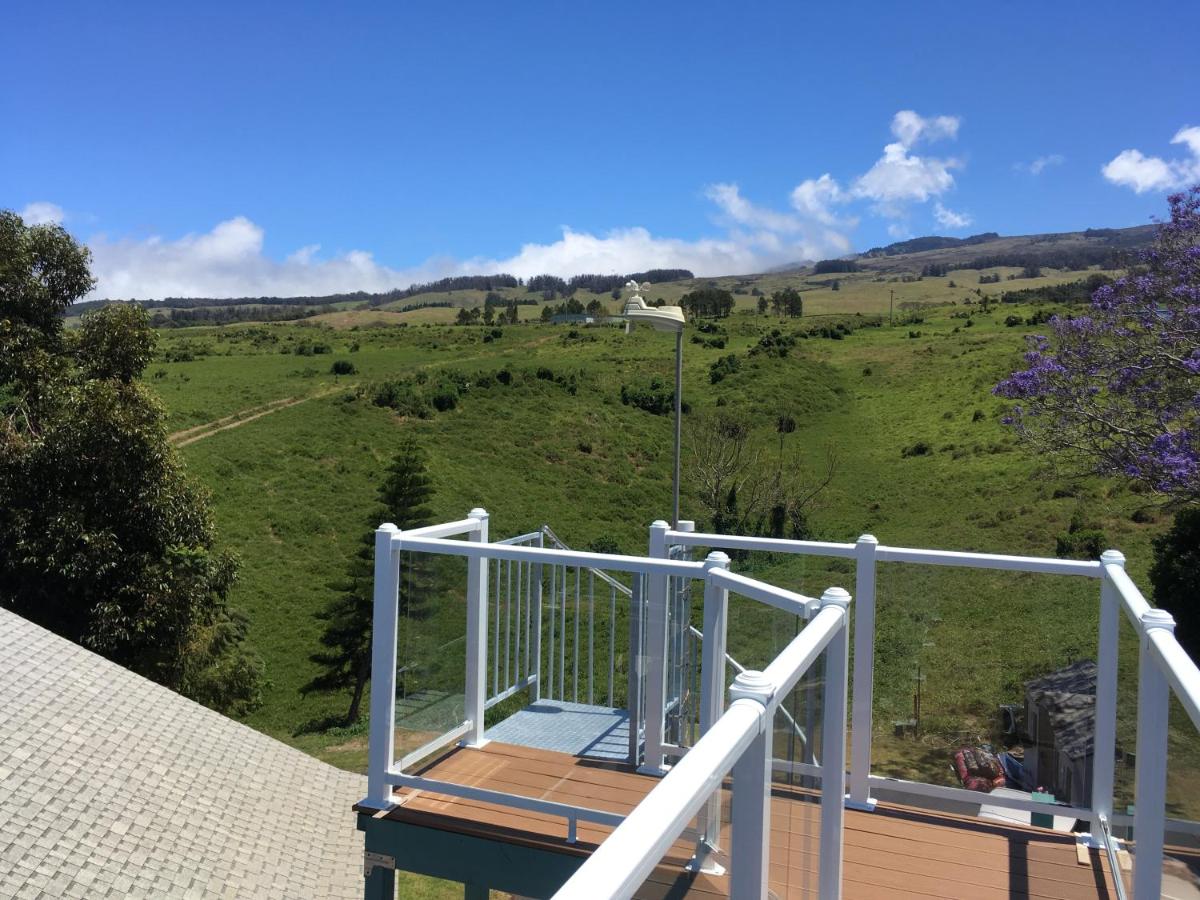 Ha'le Kiana B & B — photo 22