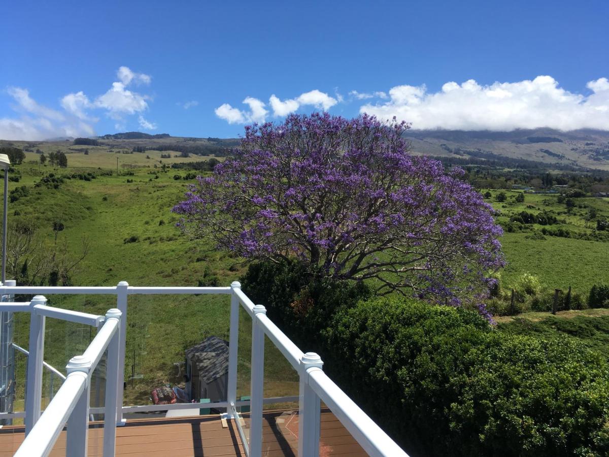 Ha'le Kiana B & B — photo 21