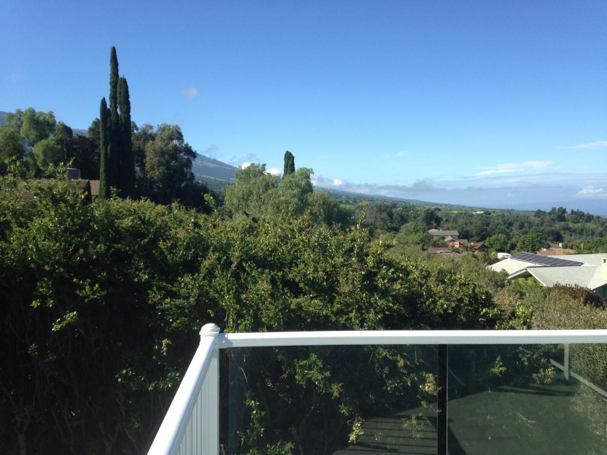 Ha'le Kiana B & B — photo 19