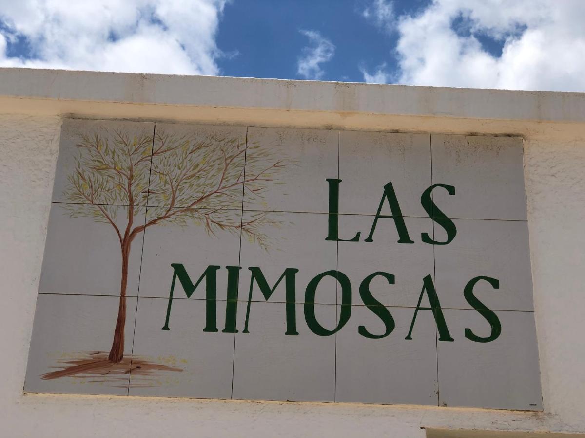 Casa Vera, Puerto del Carmen – Updated 2022 Prices