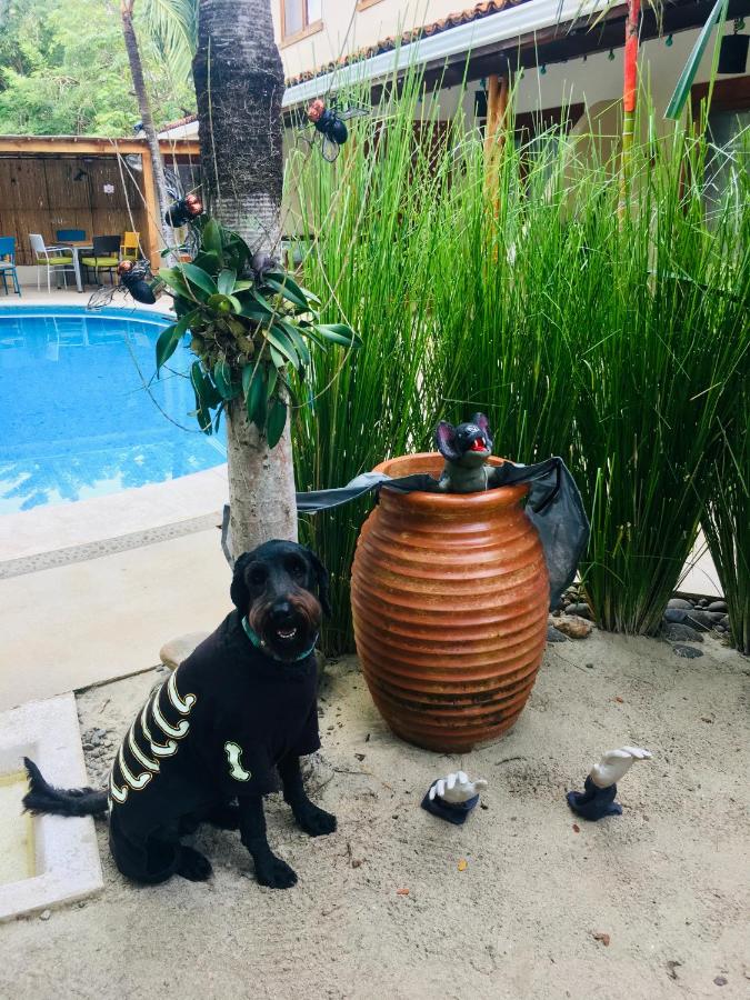 Ten North Tamarindo Beach Hotel photo