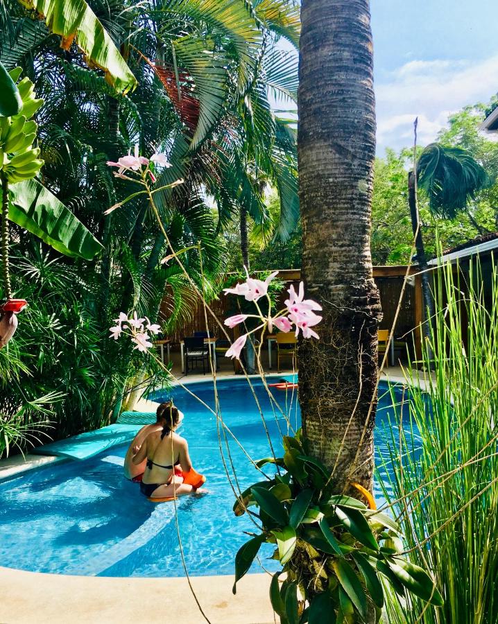 Ten North Tamarindo Beach Hotel photo