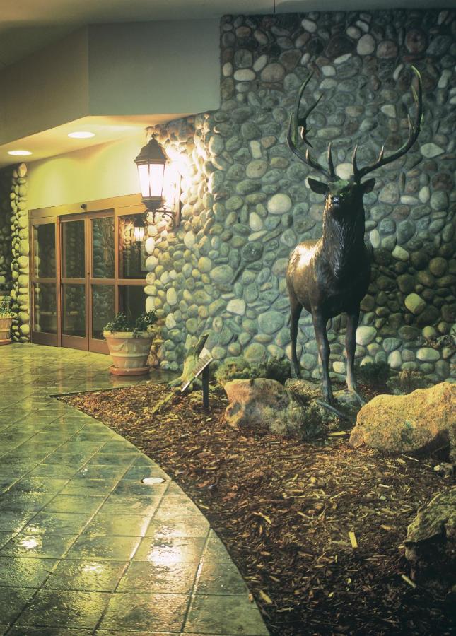 Grand Vista Hotel — photo 12