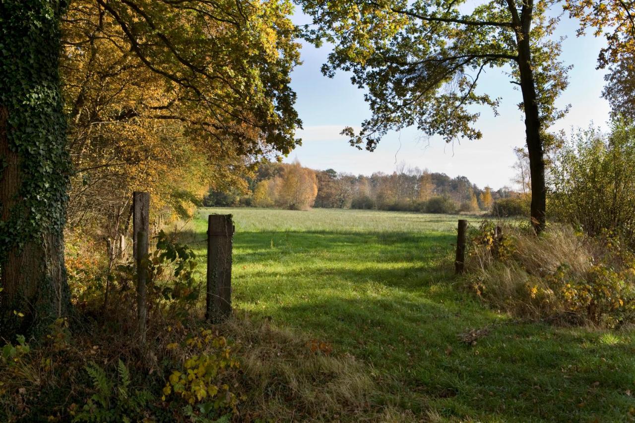 Brinkhotel photo