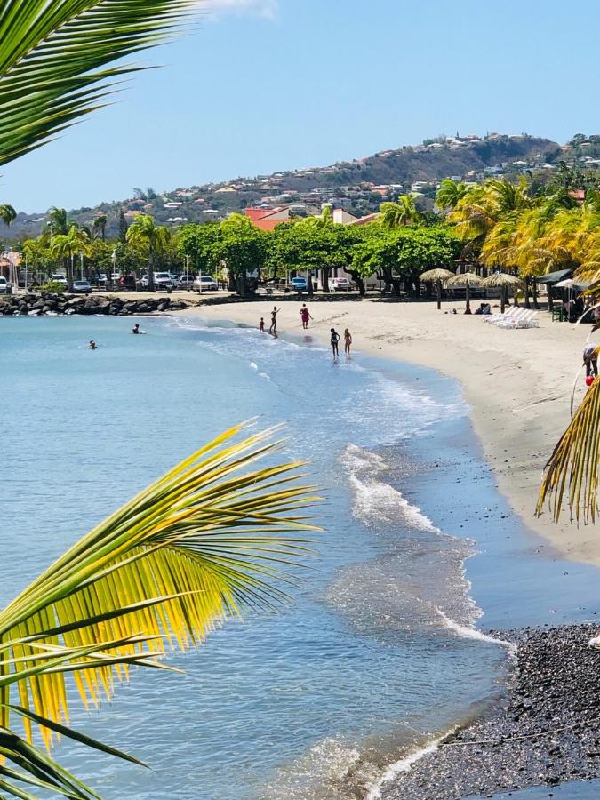 Beach: HOTEL PELICAN