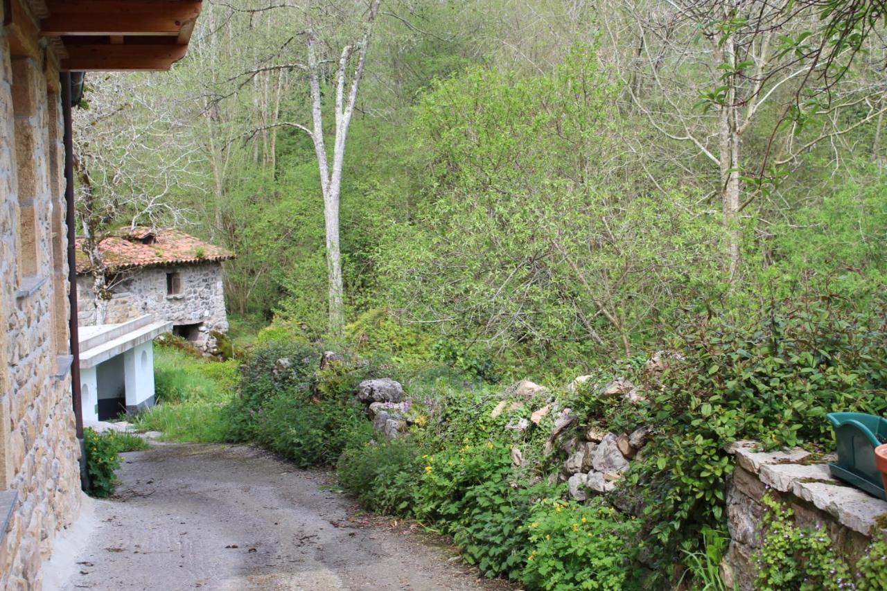 La casita del violi, Llenín – Precios actualizados 2022