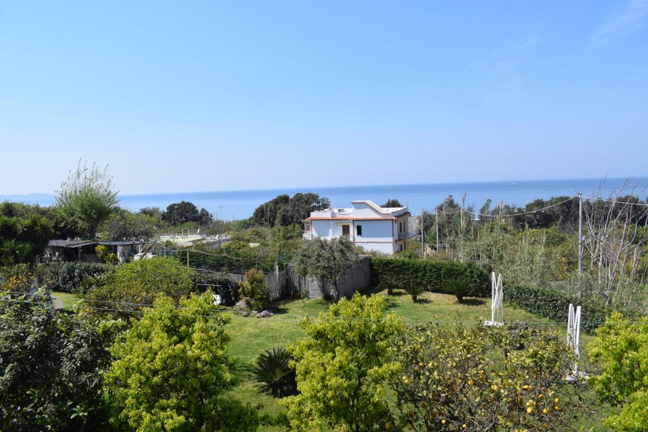 Depandance del Leone di mare photo