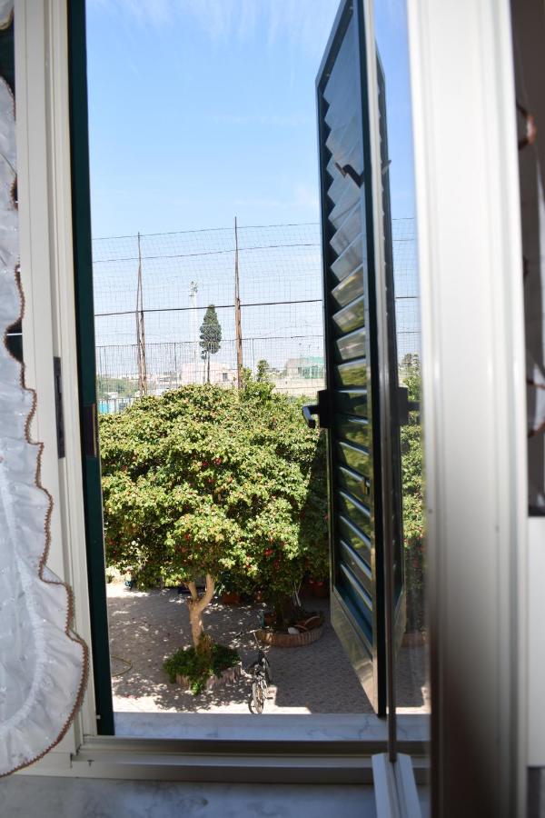 Depandance del Leone di mare photo