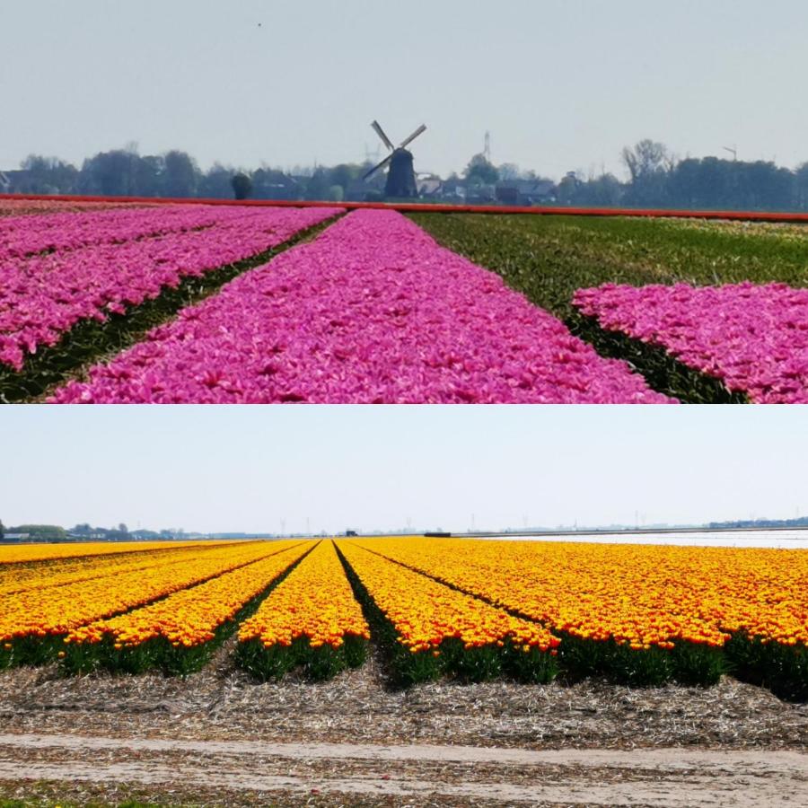 Bed & Breakfast Prins Hendrik (Zuidschermer) photo