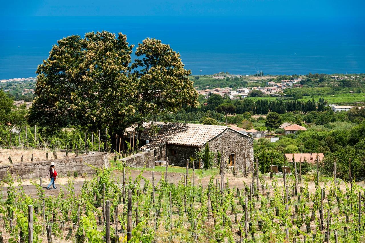 Monaci delle Terre Nere photo