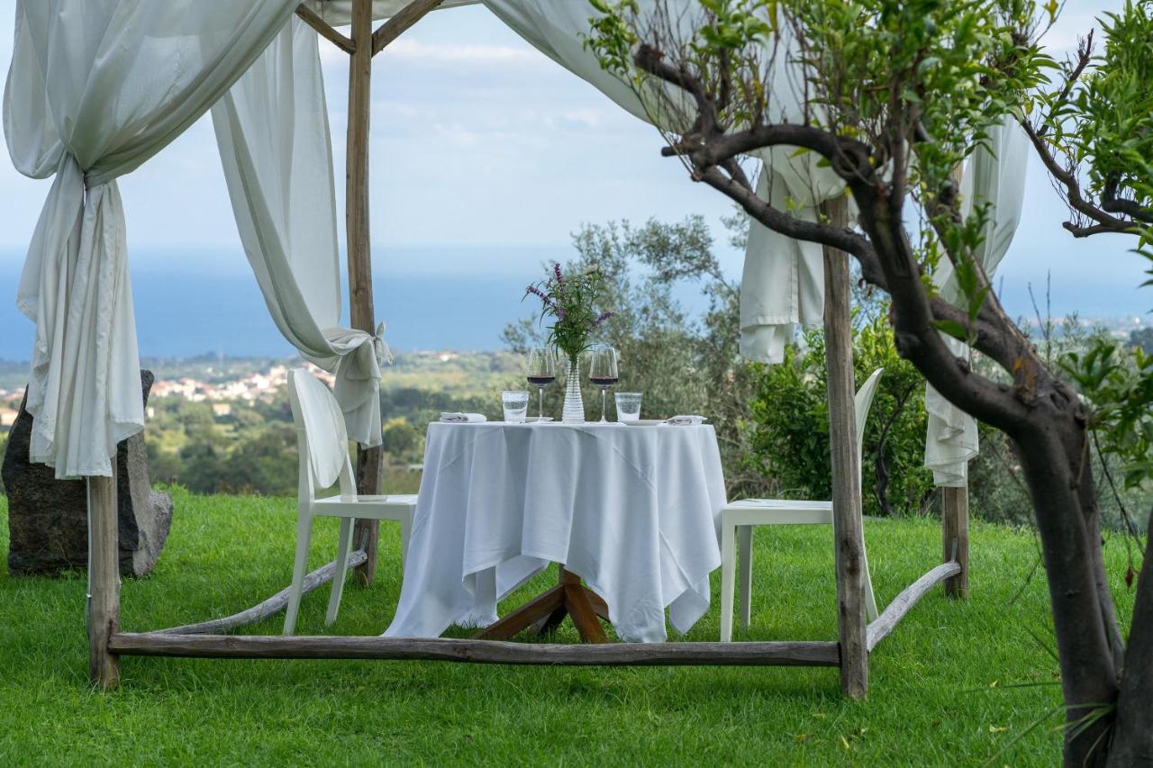 Monaci delle Terre Nere photo
