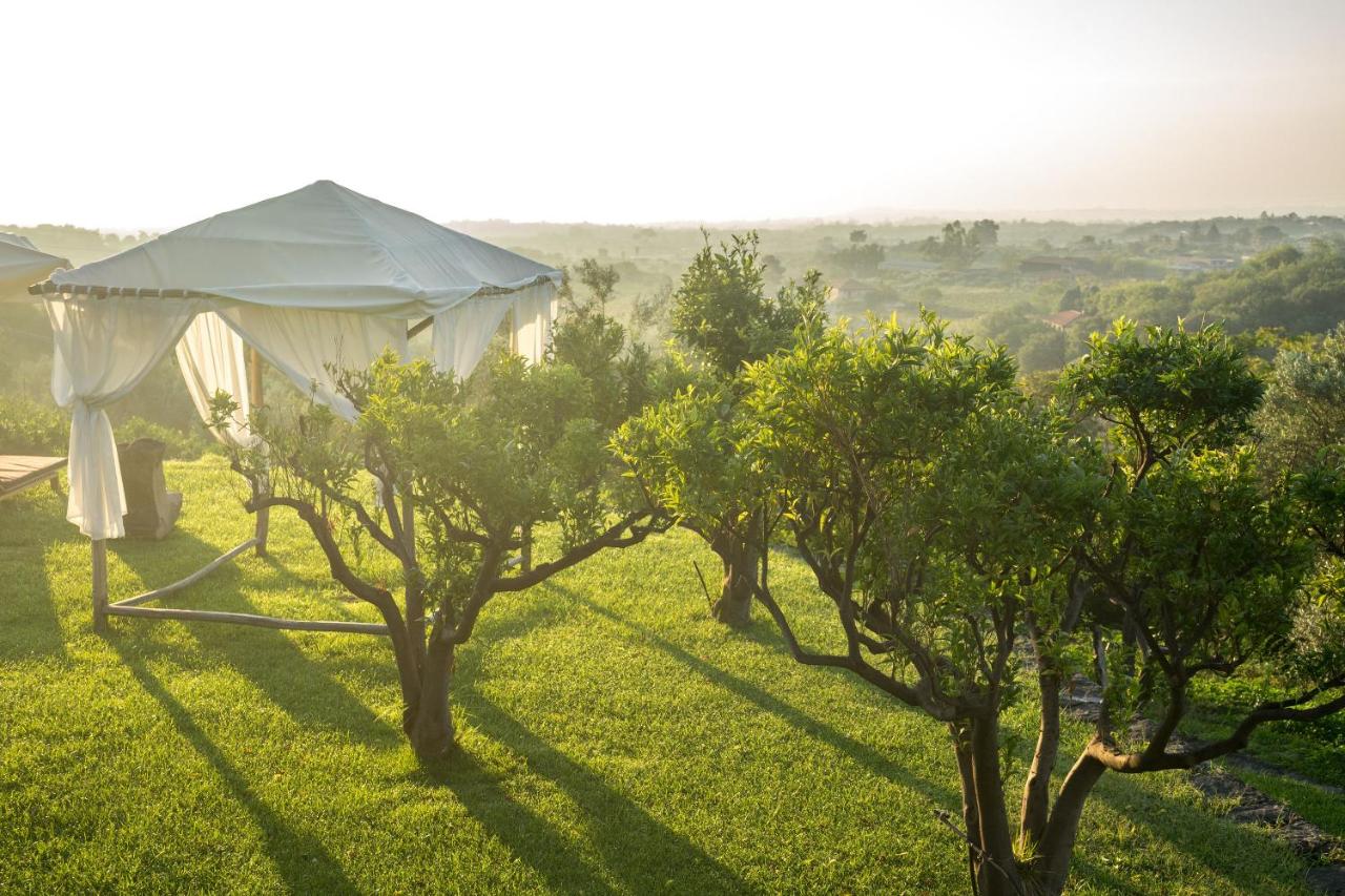 Monaci delle Terre Nere photo