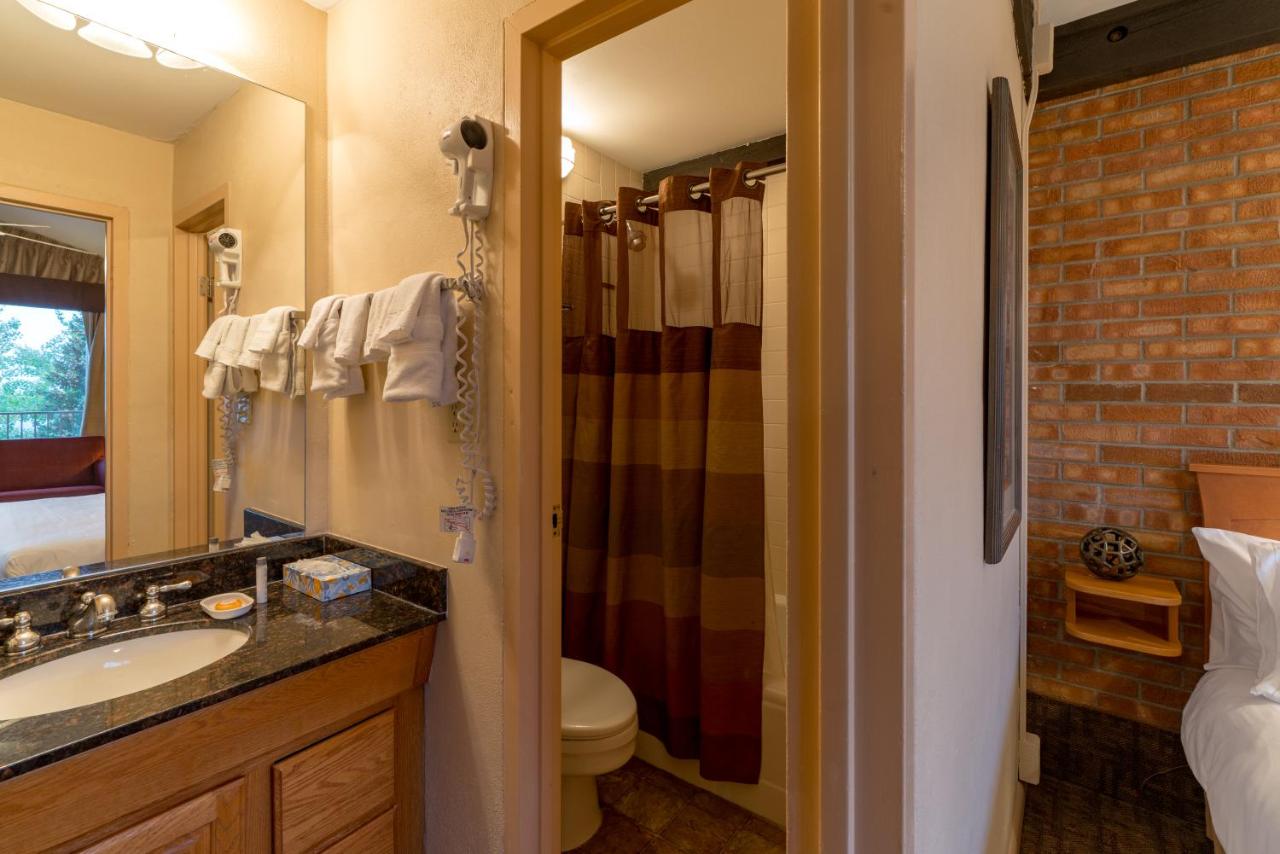 Mountain Chalet Snowmass — photo 23