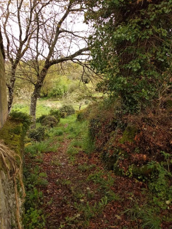 Casa O Buxo, Lugo – Updated 2022 Prices