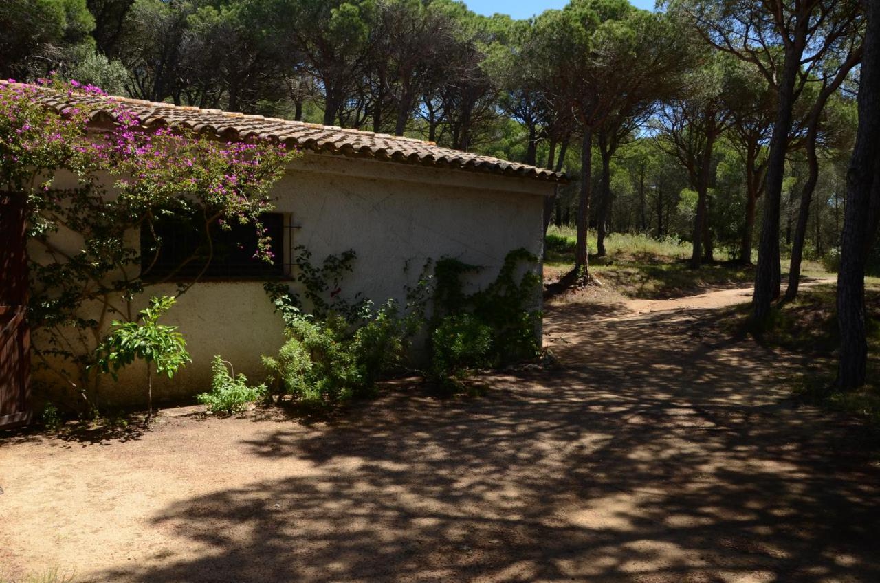 Vakantiehuis Puig Rumi (Spanje Palafrugell) - Booking.com