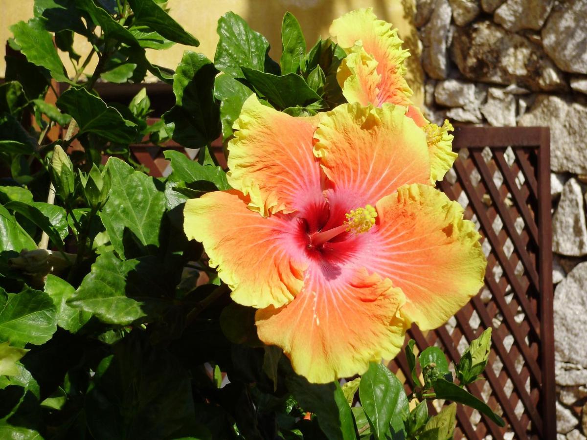 Cruccùris Resort - Adults Only photo