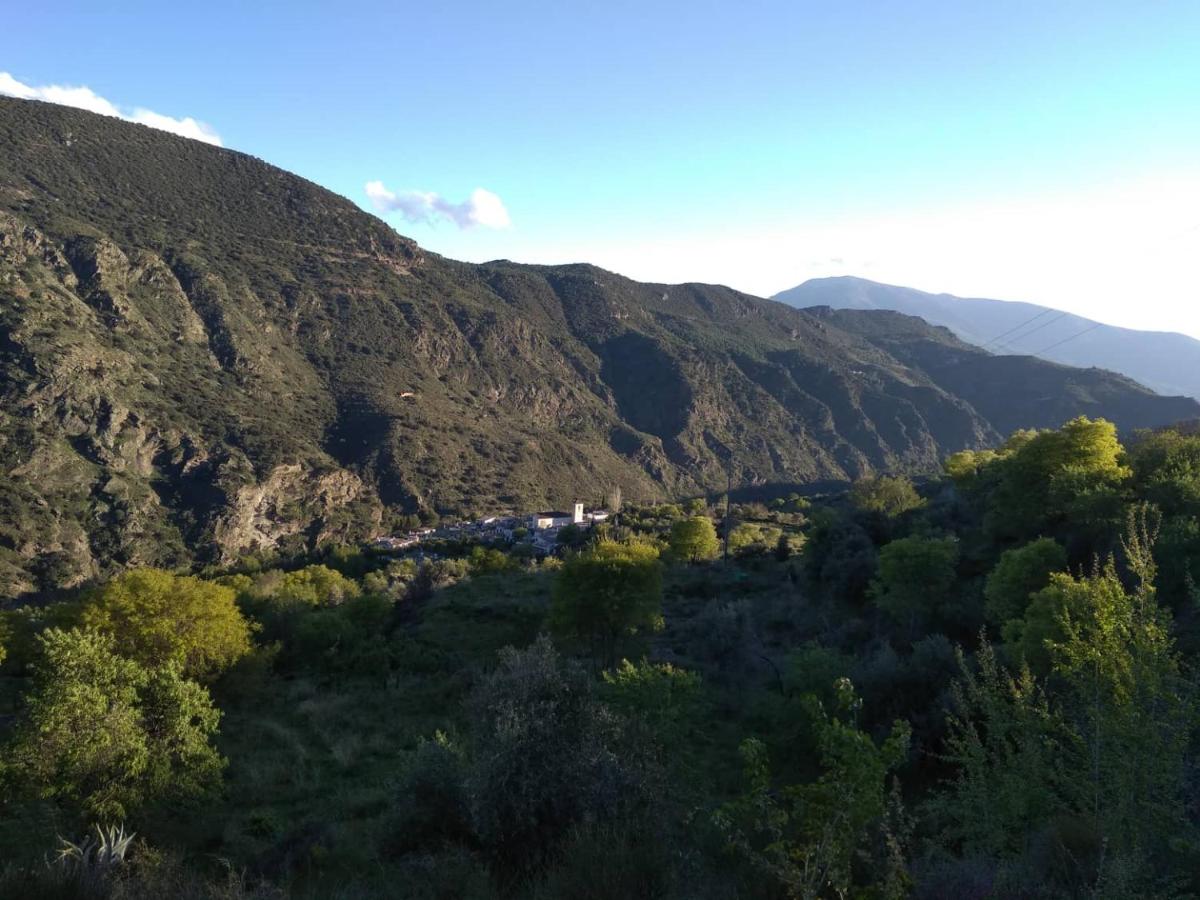 Castaño Real, Atalbéitar – Updated 2022 Prices