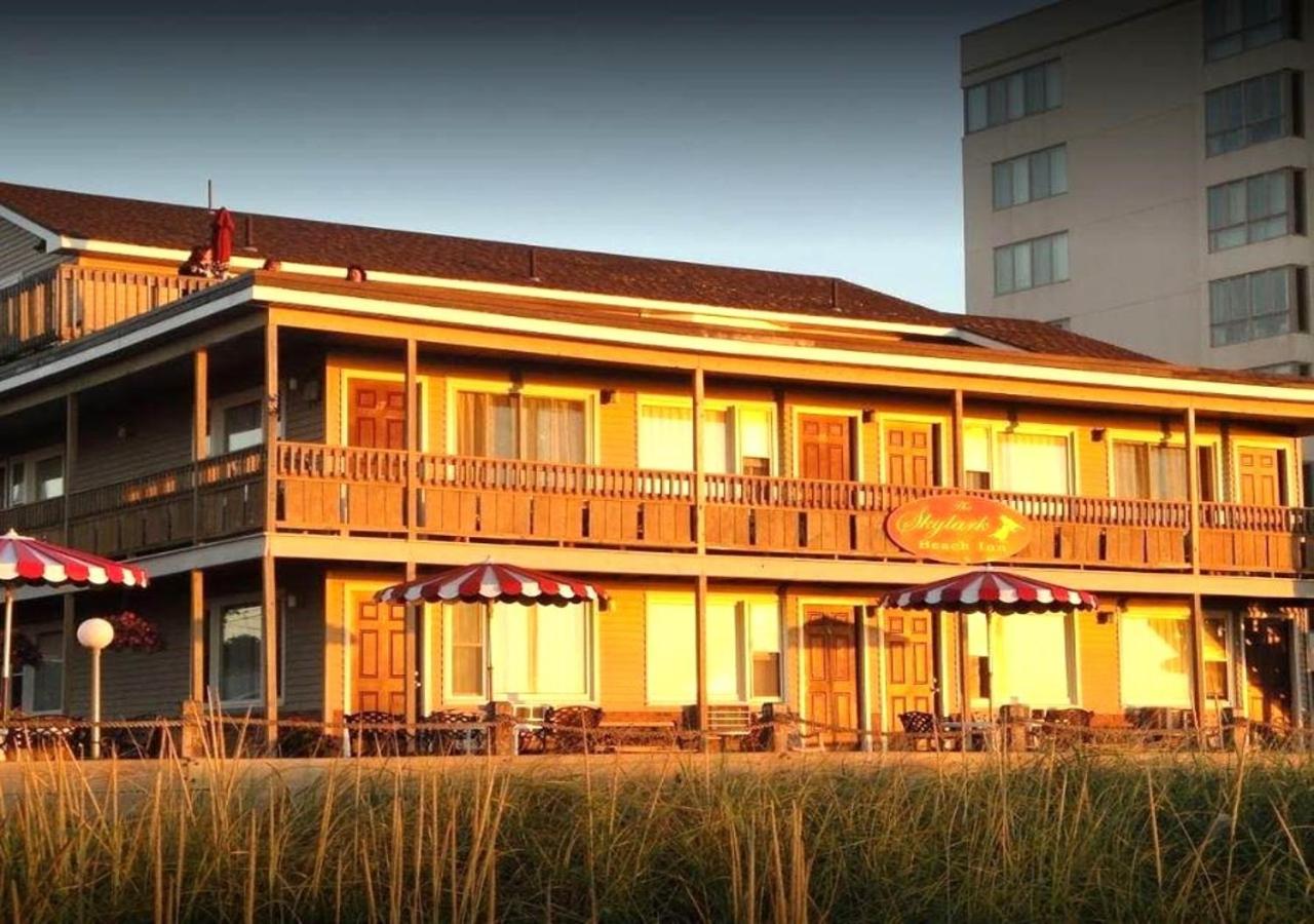 Skylark Beach Inn — photo 5
