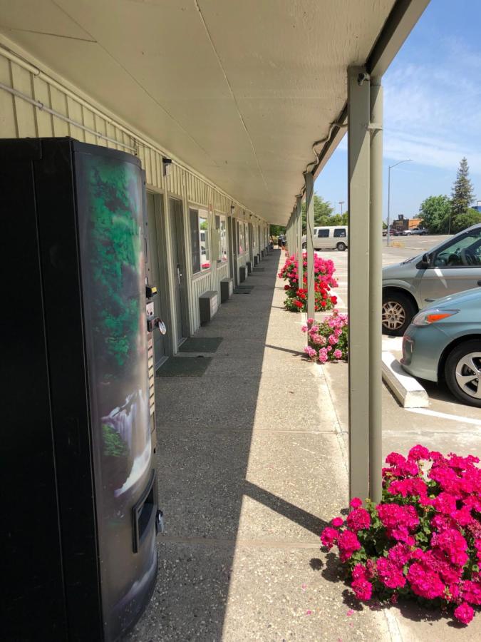 Dixon Motel — photo 13