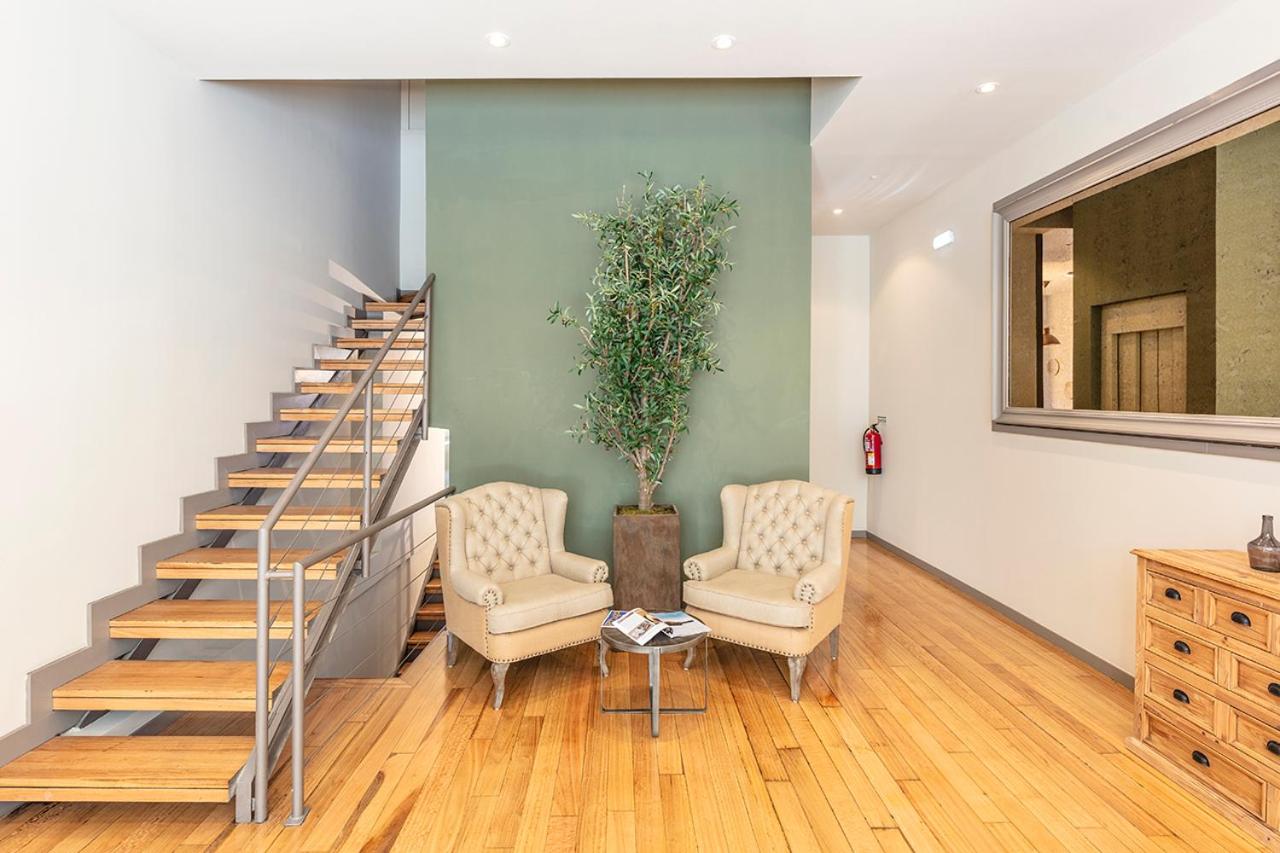 Olive Nature – Tourism Apartments - 5