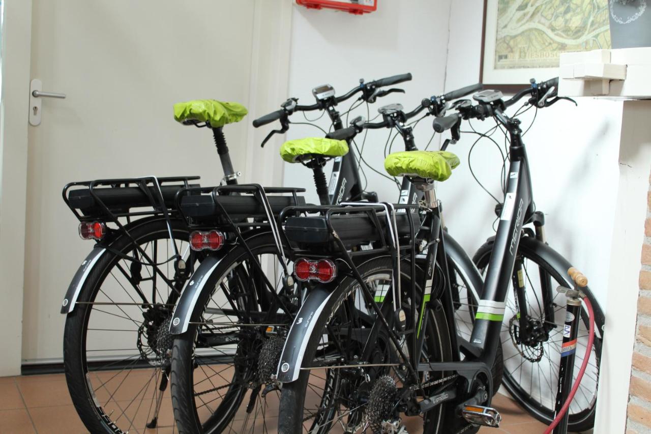 a group of bikes parked next to each other at de Brabantse Biesbosch in Werkendam