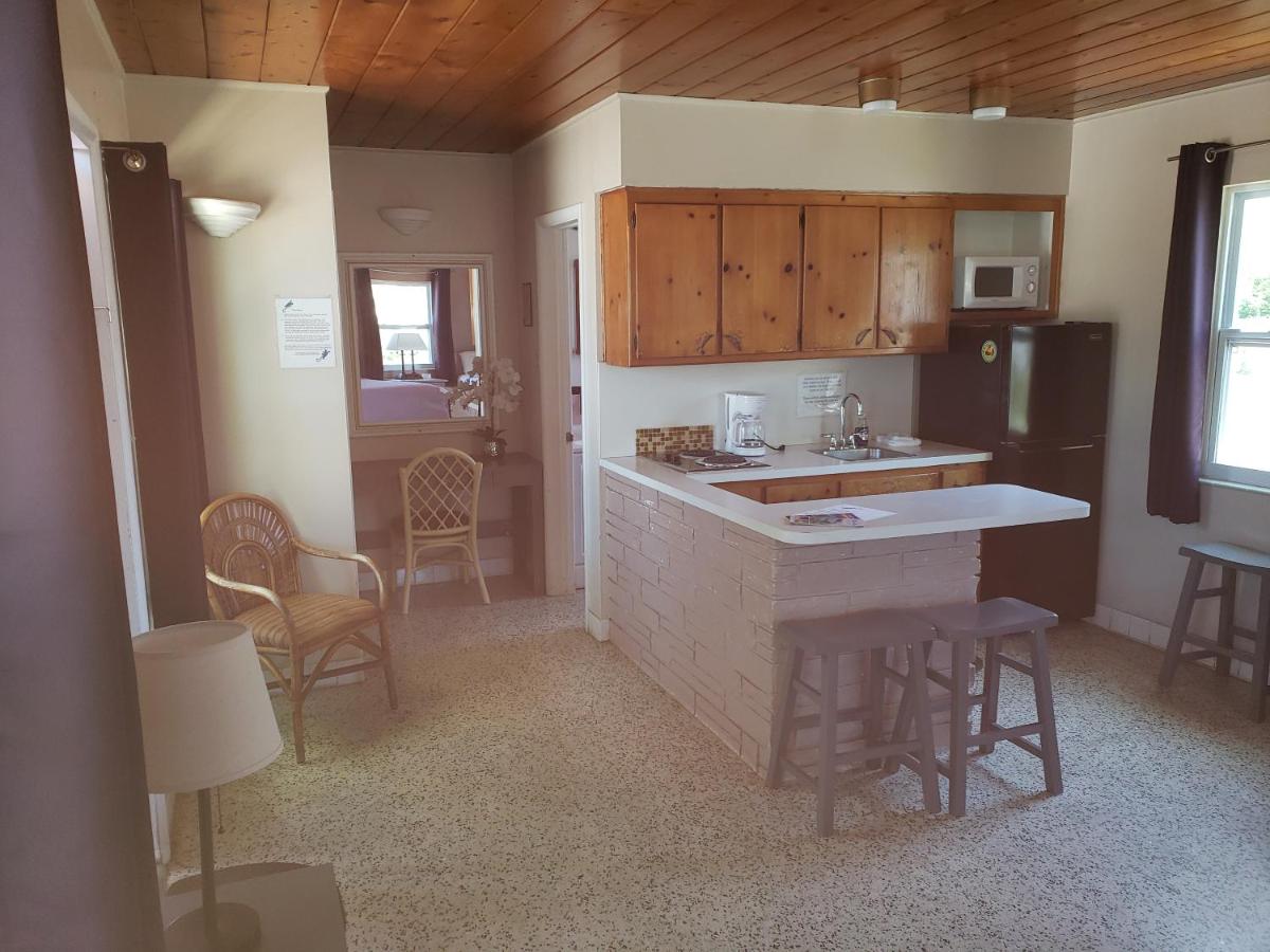 Siesta Motel — photo 22
