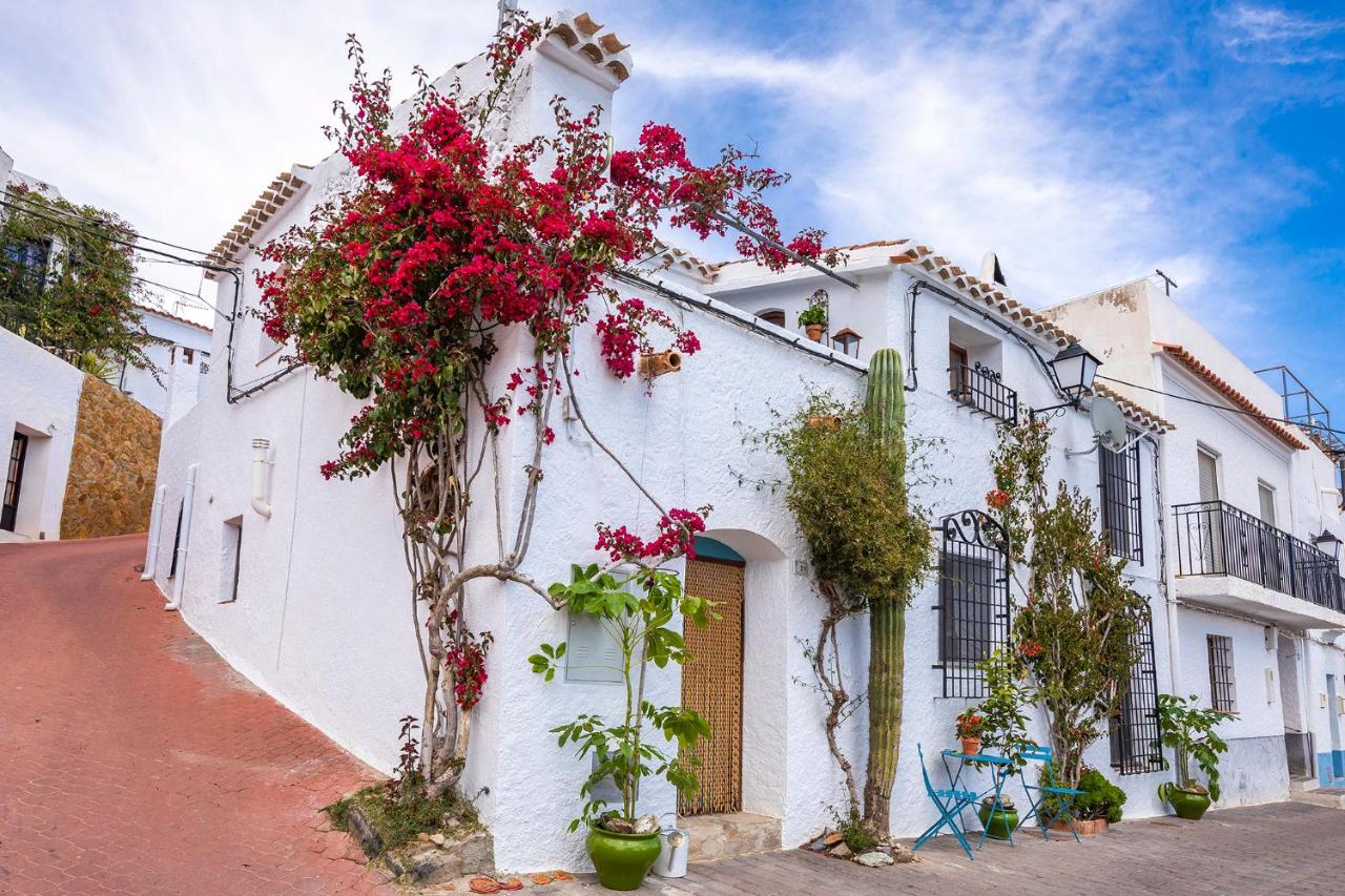 Casa Caballito De Mar Boutique B&B, Bédar – Precios 2022 ...