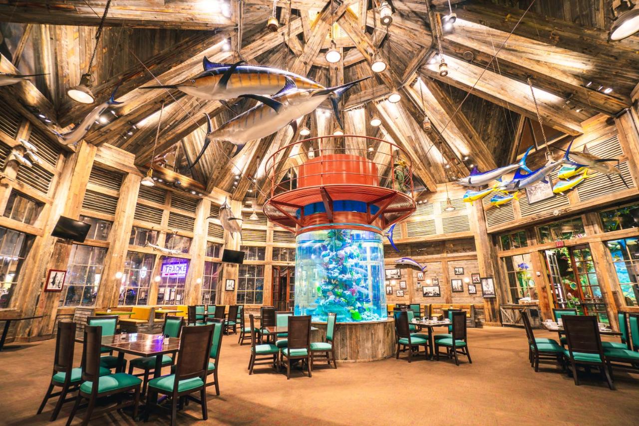 Big Cypress Lodge — photo 19
