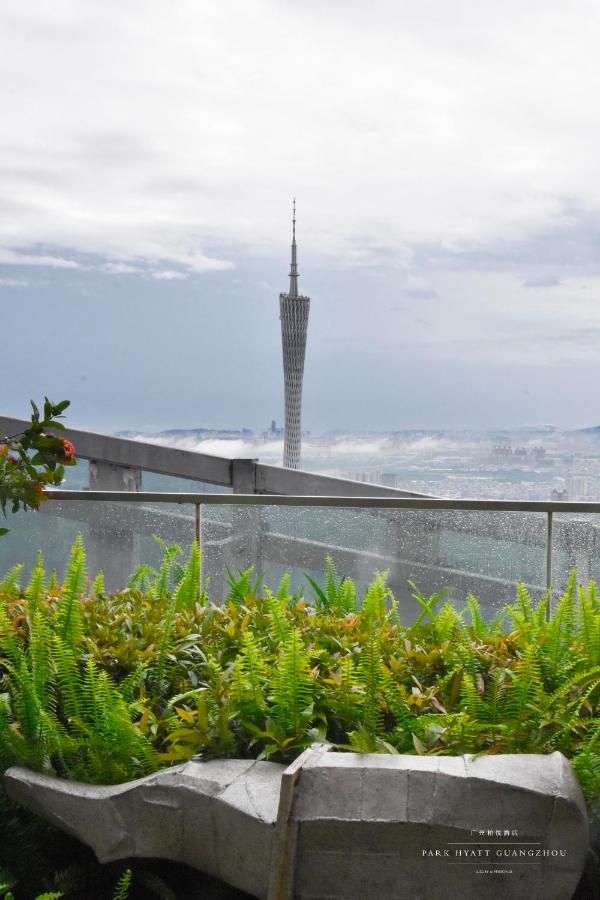 Park Hyatt Guangzhou photo