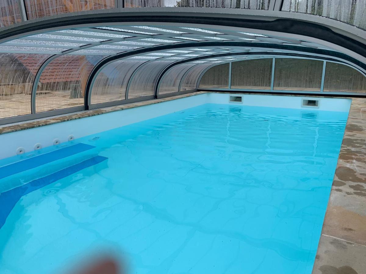 Heated swimming pool: Balaton Fantasy Pension