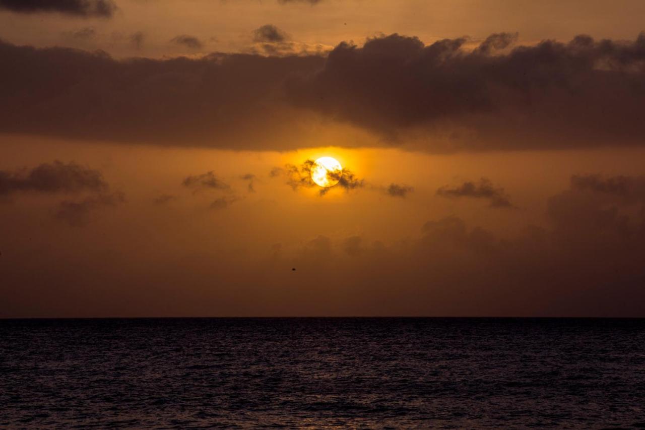 Solare SAI Ecohotel photo