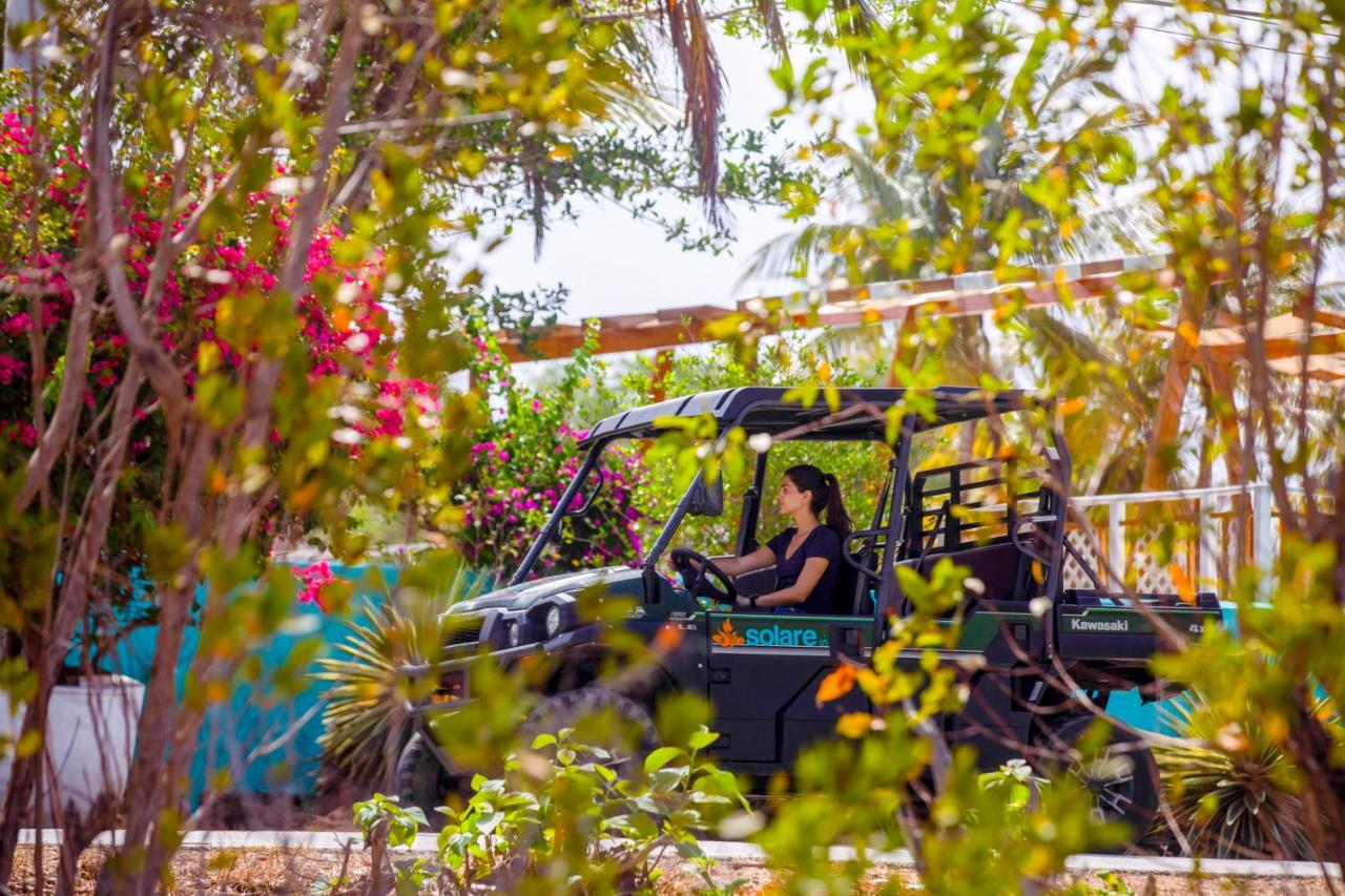 Solare SAI Ecohotel photo