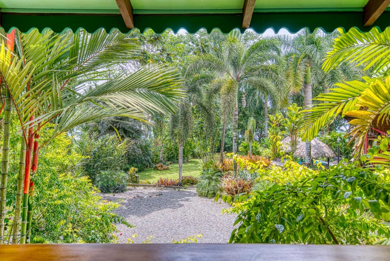 Hotel Banana Azul - Adults Only photo