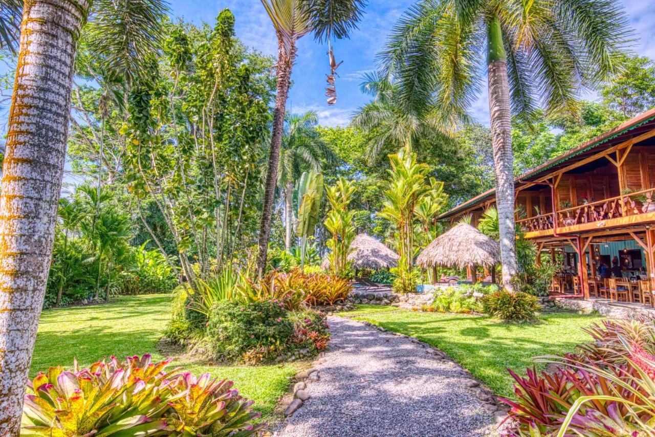 Hotel Banana Azul - Adults Only photo