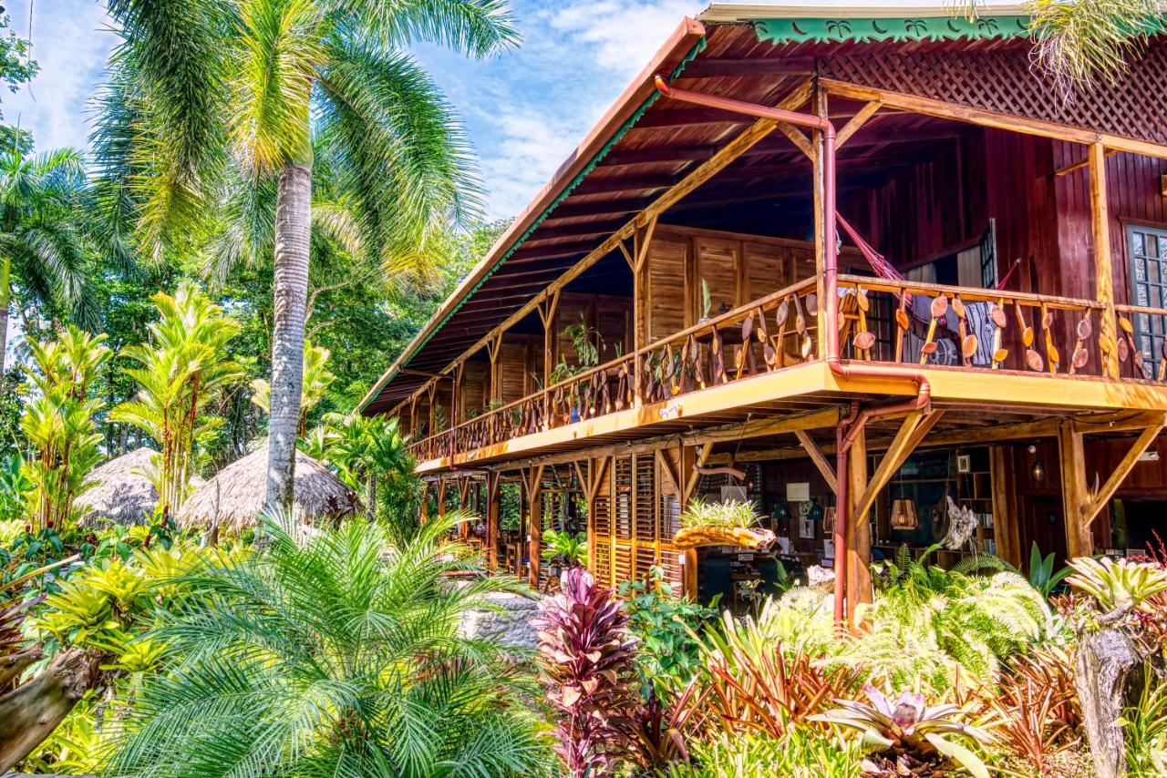 Hotel Banana Azul - Adults Only photo